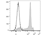 Elab Fluor® 488 Anti-Rat CD8a Antibody[OX-8]