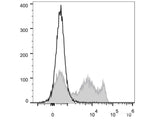 FITC Anti-Rat CD8a Antibody[OX-8]