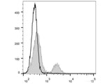 APC Anti-Rat CD8a Antibody[OX-8]