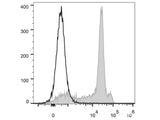 Elab Fluor® 488 Anti-Rat CD8a Antibody[OX-8]