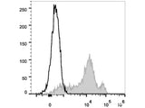 FITC Anti-Human/Mouse CD44 Antibody[IM7]