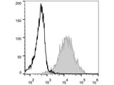 PE Anti-Human/Mouse CD44 Antibody[IM7]