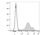 PE/Cyanine7 Anti-Human/Mouse CD44 Antibody[IM7]