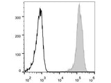 Elab Fluor® 488 Anti-Human/Mouse CD44 Antibody[IM7]