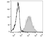 PE Anti-Human/Mouse CD44 Antibody[IM7]