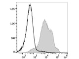 PE/Cyanine5.5 Anti-Human/Mouse CD44 Antibody[IM7]