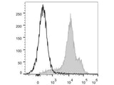 PerCP/Cyanine5.5 Anti-Human/Mouse CD44 Antibody[IM7]