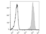 Elab Fluor® 488 Anti-Human/Mouse CD44 Antibody[IM7]