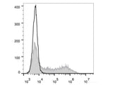 FITC Anti-Mouse IFN-γ Antibody[XMG1.2]