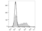 PE Anti-Mouse IFN-γ Antibody[XMG1.2]