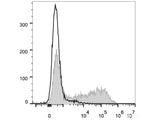 APC Anti-Mouse IFN-γ Antibody[XMG1.2]