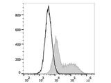 PE/Elab Fluor® 594 Anti-Mouse IFN-γ Antibody[XMG1.2]