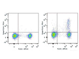 PE Anti-Mouse CD25 Antibody[PC-61.5.3]