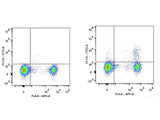 Elab Fluor® 488 Anti-Mouse CD25 Antibody[PC-61.5.3]