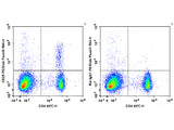 PE/Elab Fluor® 594 Anti-Mouse CD25 Antibody[PC-61.5.3]