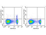 Elab Fluor® Red 780 Anti-Mouse CD25 Antibody[PC-61.5.3]