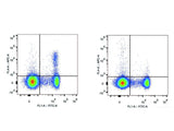 APC Anti-Mouse CD25 Antibody[PC-61.5.3]