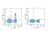 Elab Fluor® 647 Anti-Mouse CD25 Antibody[PC-61.5.3]