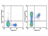 AF/LE Purified Anti-Mouse CD3ε Antibody[145-2C11]