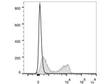 PE/Cyanine7 Anti-Mouse CD3ε Antibody[145-2C11]