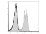 Elab Fluor® 488 Anti-Mouse CD3ε Antibody[145-2C11]