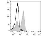 PE Anti-Mouse CD3ε Antibody[145-2C11]