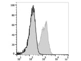 Elab Fluor® Violet 450 Anti-Mouse CD3ε Antibody[145-2C11]