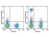 AF/LE Purified Anti-Mouse CD8a Antibody[53-6.7]