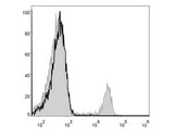 FITC Anti-Mouse CD8a Antibody[53-6.7]