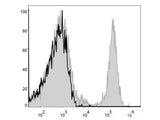 APC Anti-Mouse CD8a Antibody[53-6.7]