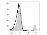 PerCP Anti-Mouse CD8a Antibody[53-6.7]