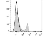 PE/Cyanine7 Anti-Mouse CD8a Antibody[53-6.7]