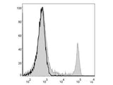 Elab Fluor® 488 Anti-Mouse CD8a Antibody[53-6.7]