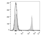 Elab Fluor® 647 Anti-Mouse CD8a Antibody[53-6.7]