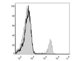 FITC Anti-Mouse CD8a Antibody[53-6.7]