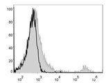 PE Anti-Mouse CD8a Antibody[53-6.7]