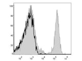 APC Anti-Mouse CD8a Antibody[53-6.7]