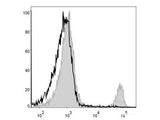 PerCP Anti-Mouse CD8a Antibody[53-6.7]