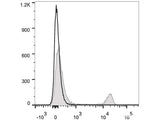 PE/Cyanine5.5 Anti-Mouse CD8a Antibody[53-6.7]