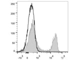 FITC Anti-Rat CD4(domain 1) Antibody[OX-38]