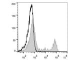 PE Anti-Rat CD4(domain 1) Antibody[OX-38]