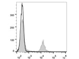 APC Anti-Rat CD4(domain 1) Antibody[OX-38]