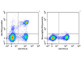 PE/Cyanine5 Anti-Rat CD4(domain 1) Antibody[OX-38]