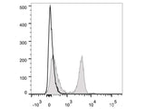 PerCP/Cyanine5.5 Anti-Rat CD4(domain 1) Antibody[OX-38]