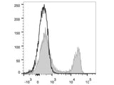 FITC Anti-Rat CD4(domain 1) Antibody[OX-38]