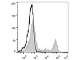 PE Anti-Rat CD4(domain 1) Antibody[OX-38]