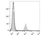 APC Anti-Rat CD4(domain 1) Antibody[OX-38]