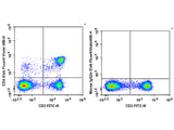 Elab Fluor® Violet 450 Anti-Rat CD4(domain 1) Antibody[OX-38]