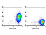 APC Anti-Mouse CD115/CSF-1R Antibody[AFS98]