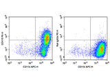 PE Anti-Mouse CD115/CSF-1R Antibody[AFS98]